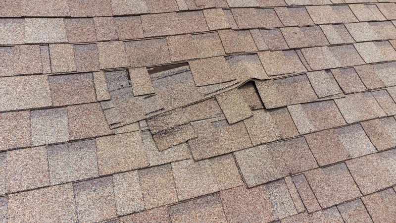 Shingle Repair Service